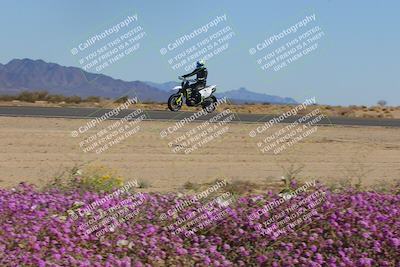 media/Feb-10-2023-2WTD (Fri) [[a356e03532]]/B Group/Session 5 (Turn 15 Blooming)/